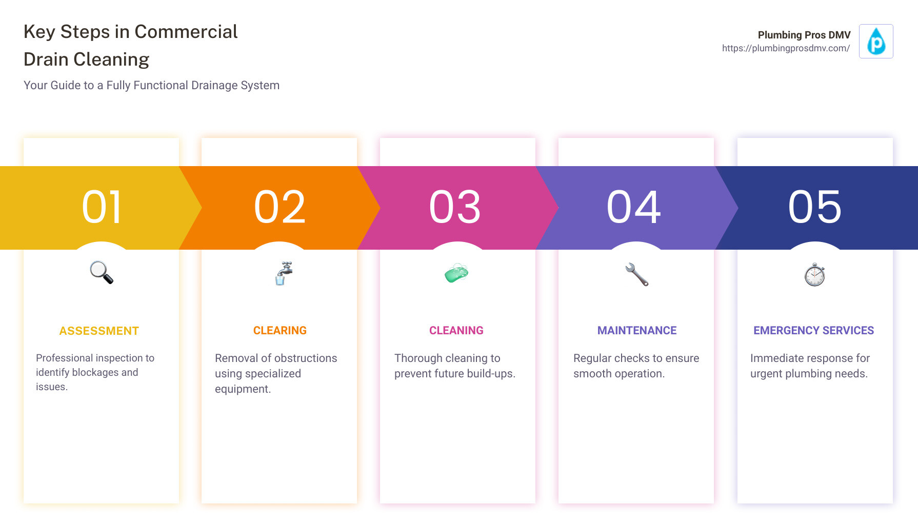 Choosing Commercial Drain Cleaning Service, infographic including the points mentioned. - commercial drain cleaning service Alexandria, VA infographic pillar-5-steps Choosing Commercial Drain Cleaning Service, infographic including the points mentioned. - commercial drain cleaning service Alexandria, VA infographic pillar-5-steps
