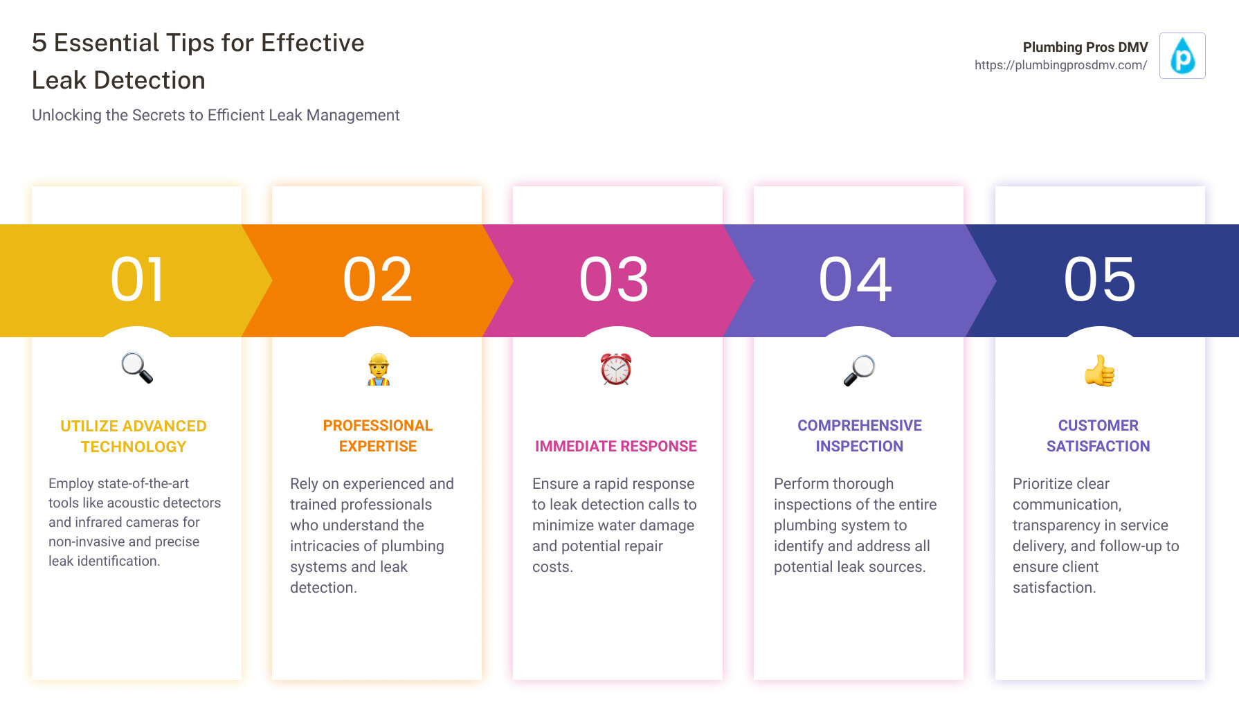 Leak detection infographic - leak finders near me infographic pillar-5-steps