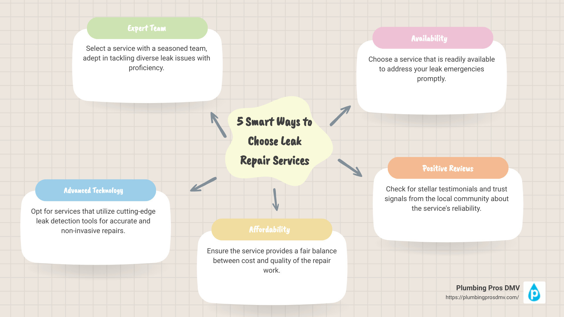 Infographic detailing the process of choosing a leak repair service - leak repair services infographic mindmap-5-items