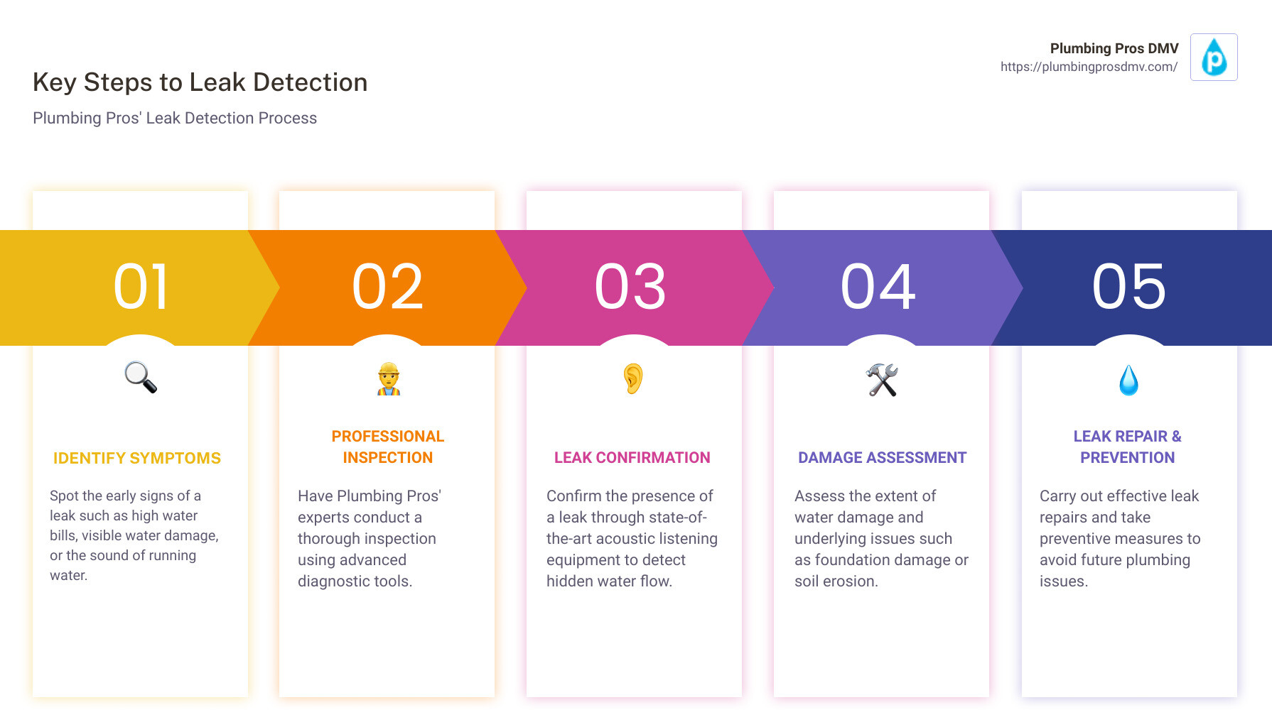 leak detection infographic - Leak Detection Services infographic pillar-5-steps