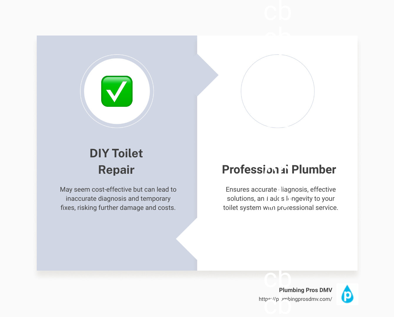 Infographic Description - The Importance of Hiring a Professional Plumber - plumber to fix toilet Arlington, VA infographic comparison-2-items-formal Infographic Description - The Importance of Hiring a Professional Plumber - plumber to fix toilet Arlington, VA infographic comparison-2-items-formal