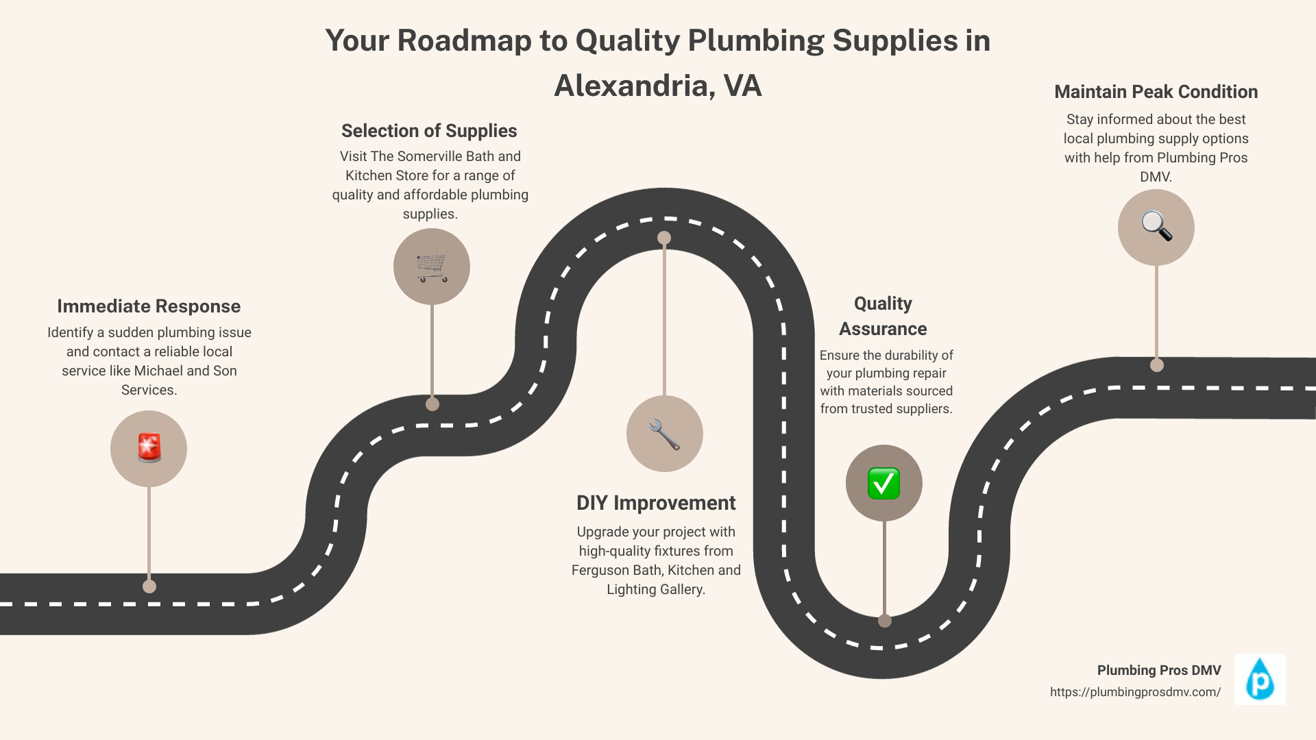 Infographic showing types of common plumbing supplies - plumbing supply Alexandria, VA now infographic roadmap-5-steps