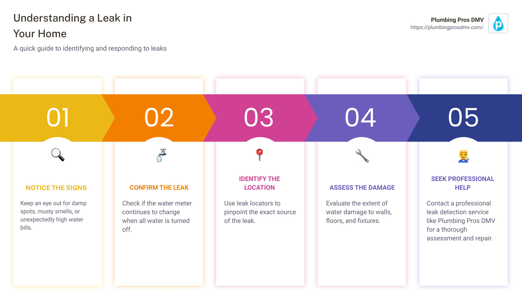 Infographic on understanding a leak in your home - leak locators infographic pillar-5-steps