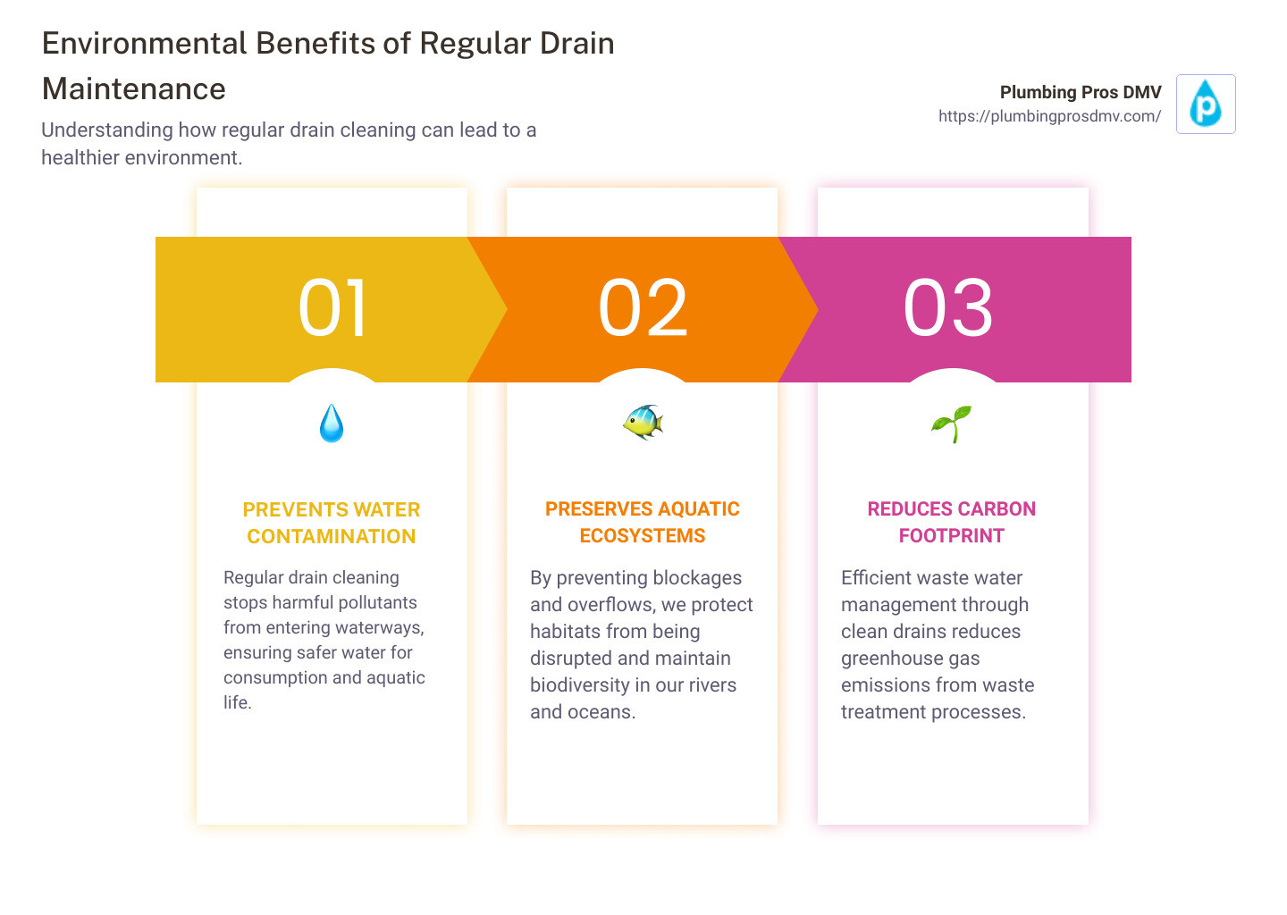 Environmental Benefits of Regular Drain Maintenance - plumbing and drain cleaning near me infographic pillar-3-steps