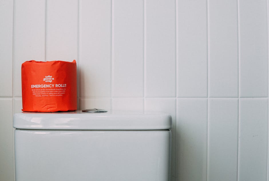 Emergency Toilet Repair - plumber to fix toilet Arlington, VA Emergency Toilet Repair - plumber to fix toilet Arlington, VA