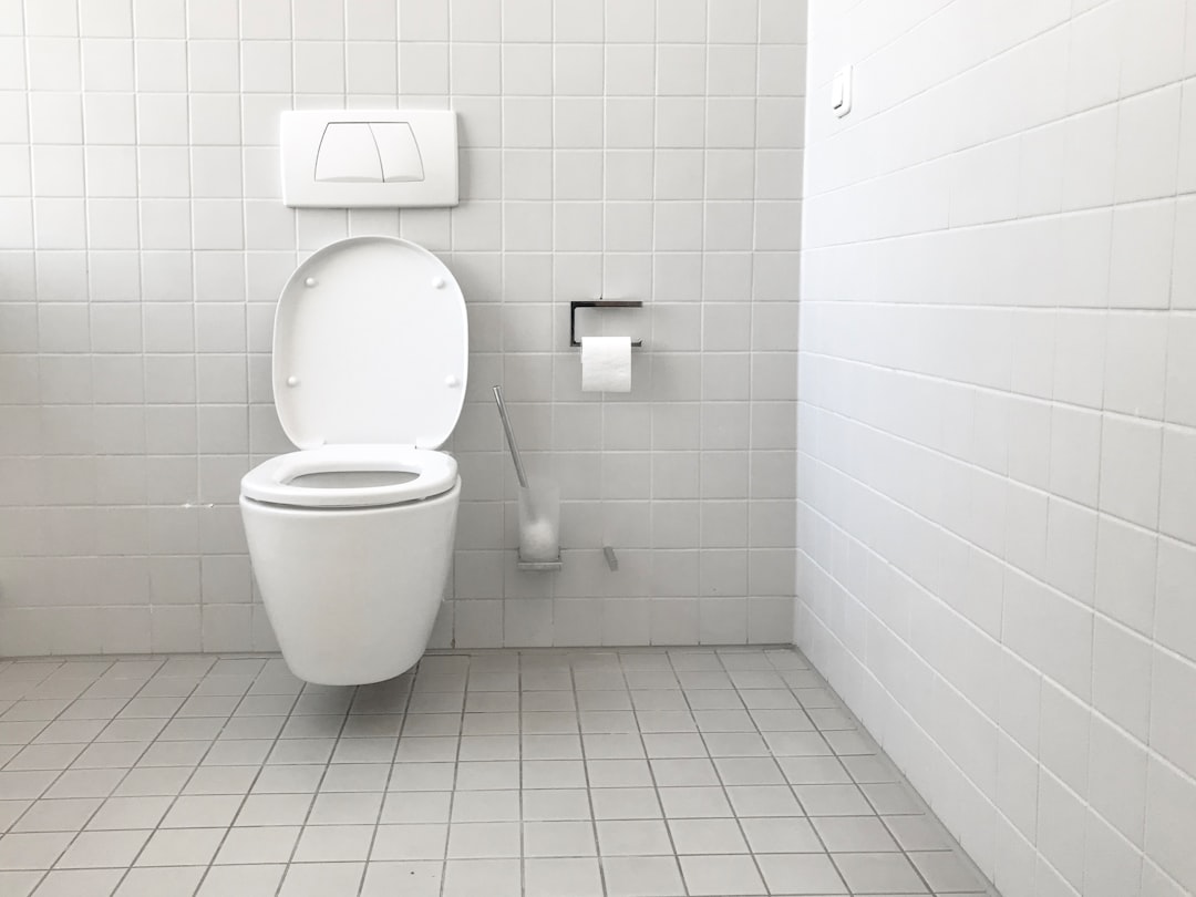 Toilet with visible cracks - Toilet repairs
